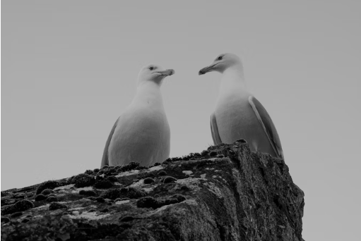 İlişkiler ve Şifa